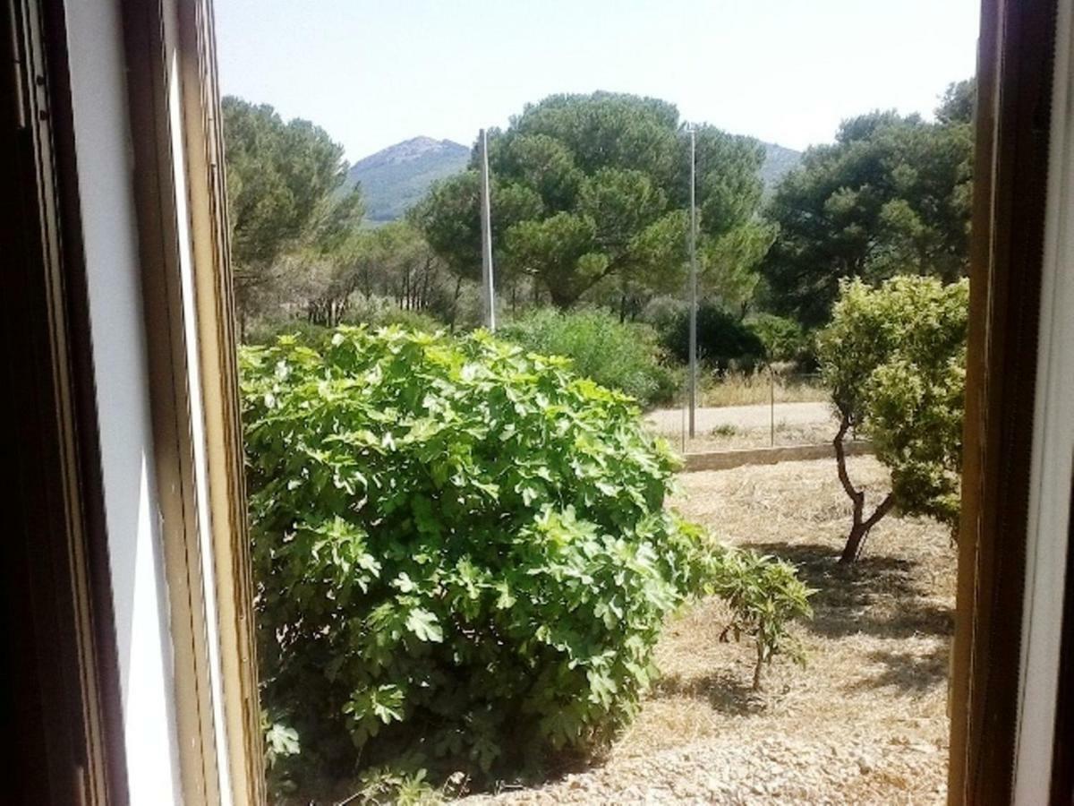 Bed and Breakfast Privacy & Relax In Sardegna Porto Conte Exteriér fotografie