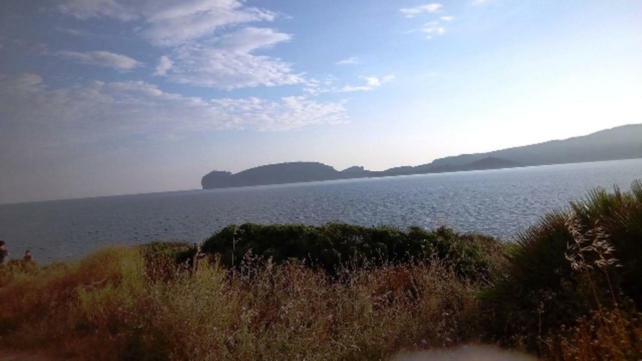 Bed and Breakfast Privacy & Relax In Sardegna Porto Conte Exteriér fotografie
