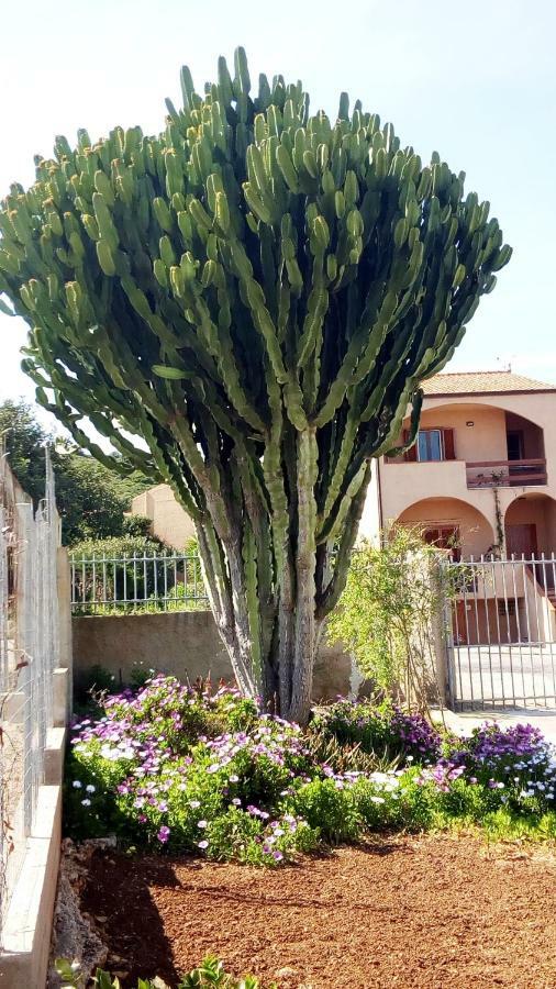 Bed and Breakfast Privacy & Relax In Sardegna Porto Conte Exteriér fotografie